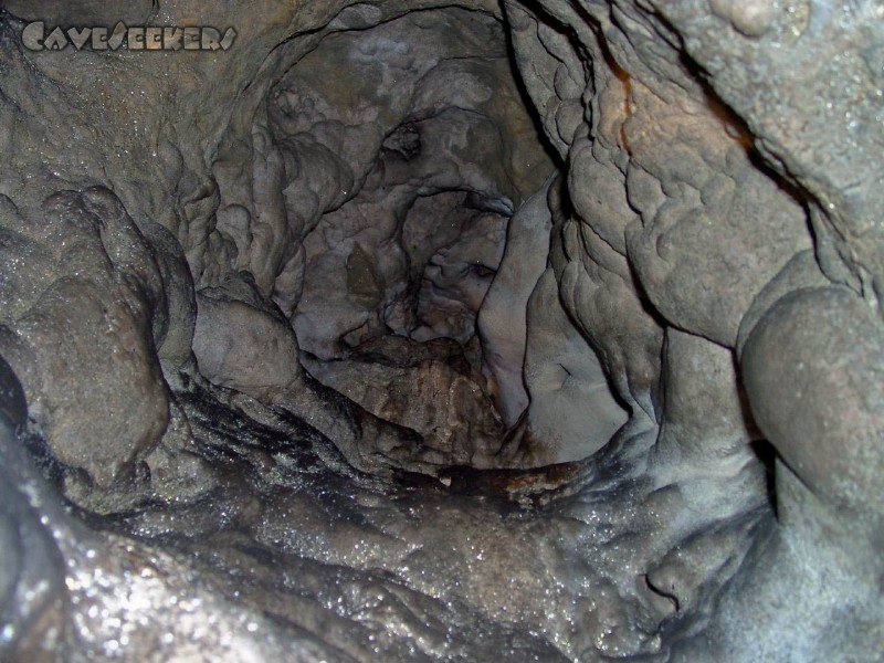 Schweigelshöhle: Bilder aus grauer Vorzeit.