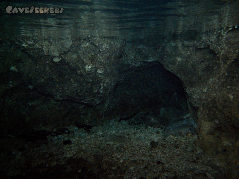 Seeweiherquellgrotte: Am Ende des Tageslichtbereichs. Unter Wasser. Da muss er durch.