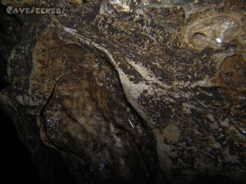 Seeweiherquellgrotte: Höhlendecke mit Luftblasen. Ca. 35 cm nach dem Eintauchen und ca. 35cm vor der ersten Luftglocke.
