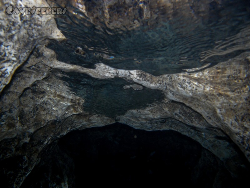 Seeweiherquellgrotte: Blik nach oben.