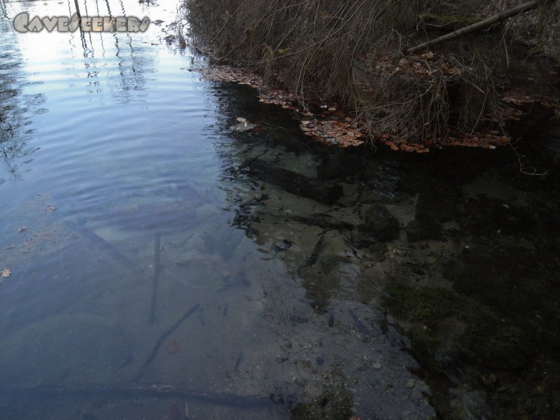 Seeweiherquellgrotte: Äusserst ungewöhnlich in Franken: Sauberes Wasser.