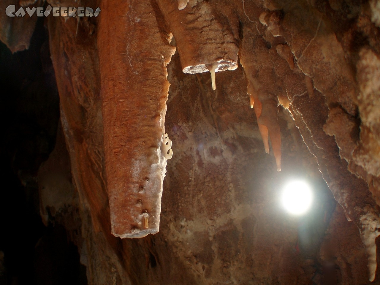 Seksal: Kleiner Excentriker an Rest-Stalagtit.