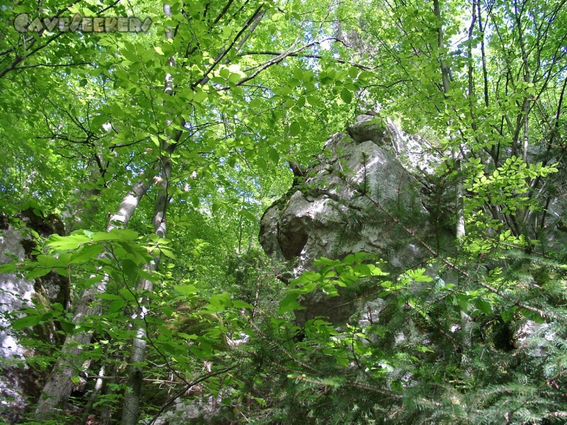 Silberloch: Der Beweiss: Ankunft bei Tag.