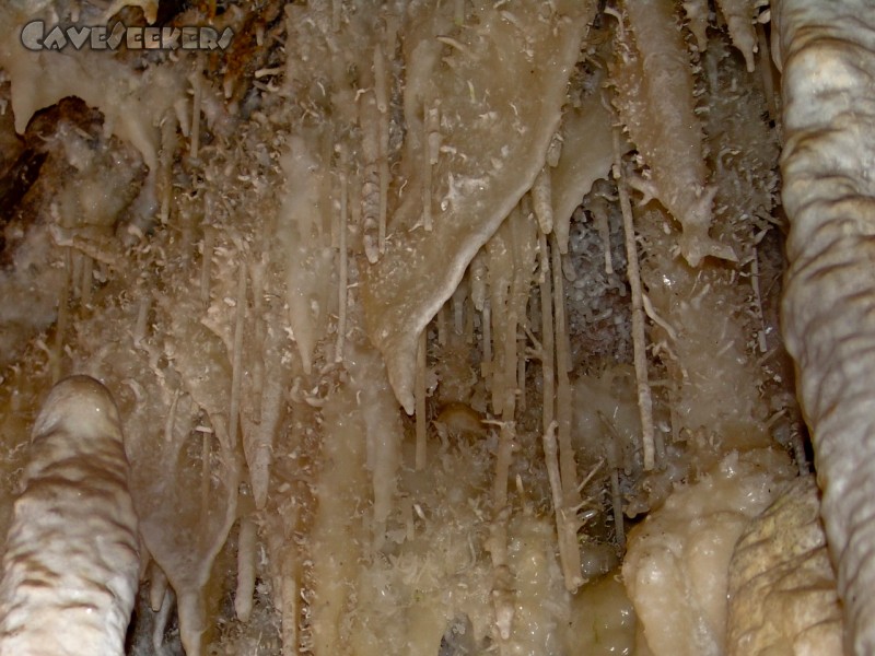 Silver Fox Cave: Wirklich wahr: In China - in einer Schauhöhle - man könnte mit den Fingern alles abbrechen...