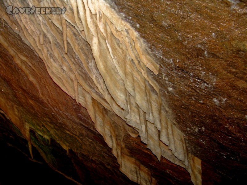 Silver Fox Cave: Hin und wieder ein paar Sinterfahnen.