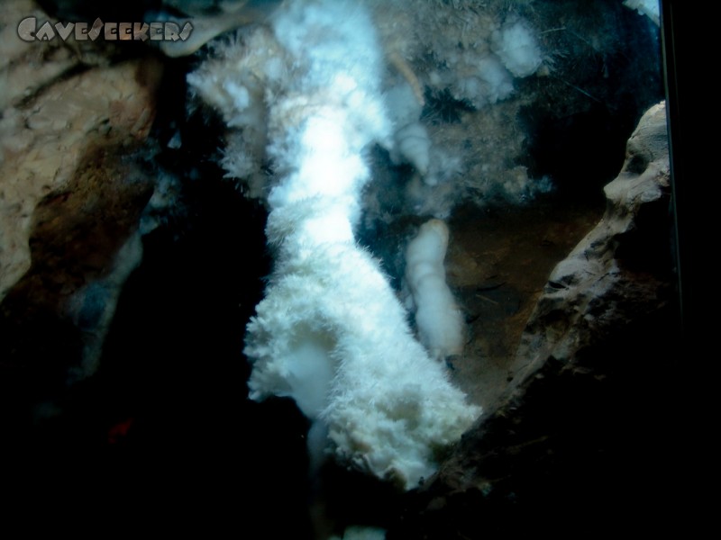 Silver Fox Cave: Nicht wirklich scheissse fotografiert - sieht nur so aus. Wegen der verschmierten Glasplatte.