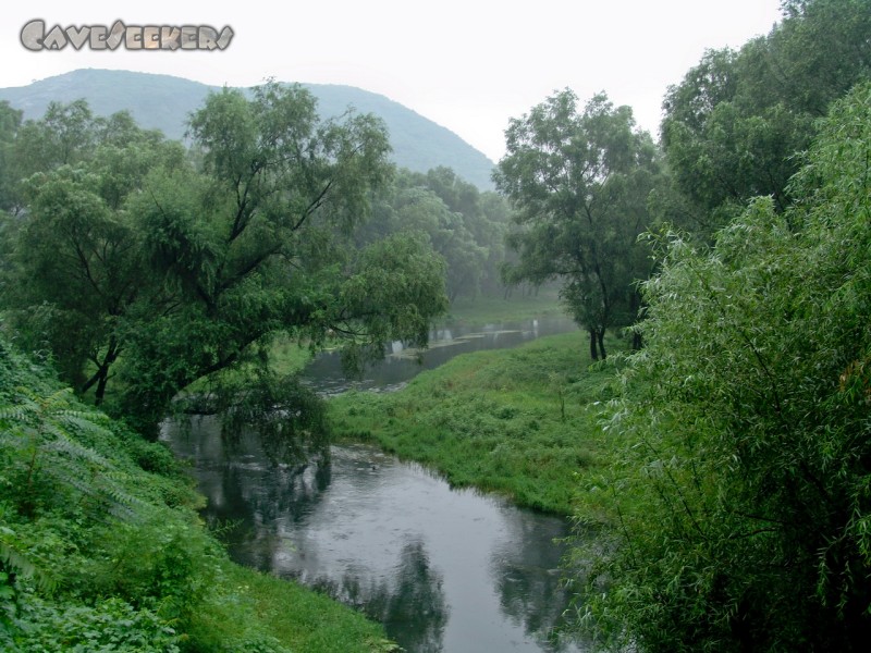 Silver Fox Cave: Ca. 80 Km entfernt vom Zentrum Pekings: Der Busch.