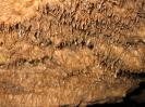 Sinterdeckenhöhle - Fell oder Pelz?