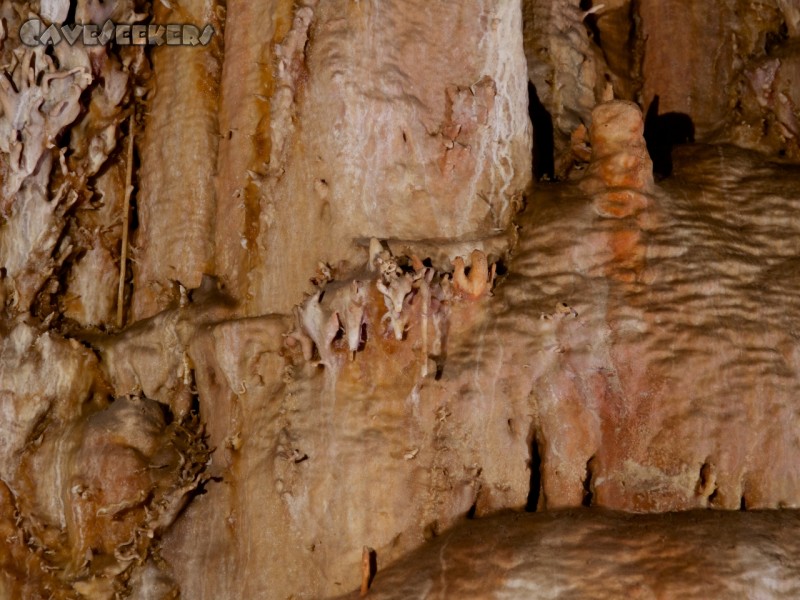 Soreq Cave: Am gegenüberliegenden Speleothem ein beinahe Disque plus ein paar Excentrics.