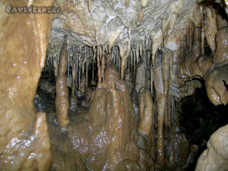 Stein Am Wasser: Gar Paradisisch.