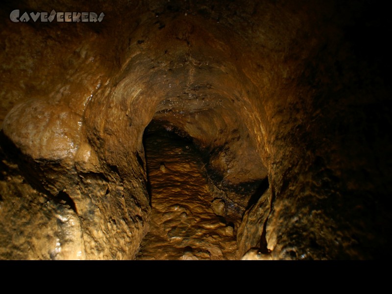 Stein Am Wasser: Glitschige Sackgasse