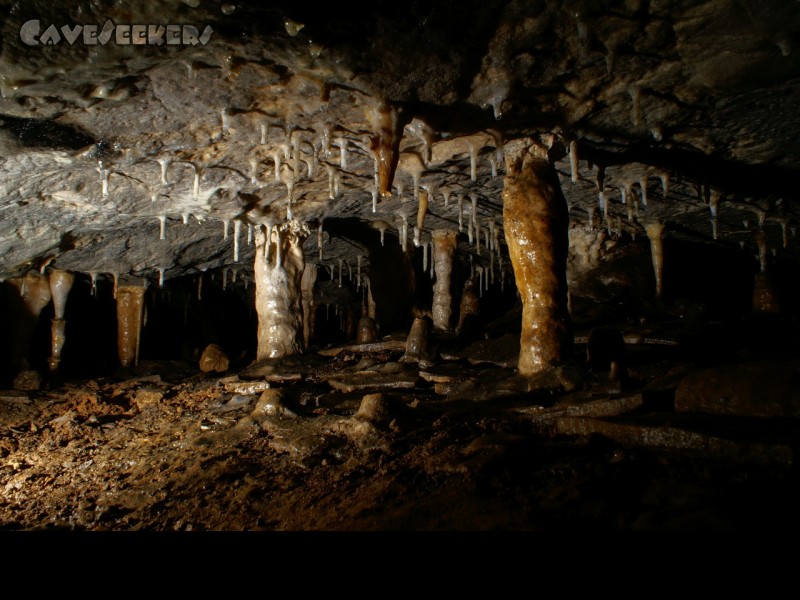 Stein Am Wasser: Tropfsteine der Spöckerhalle
