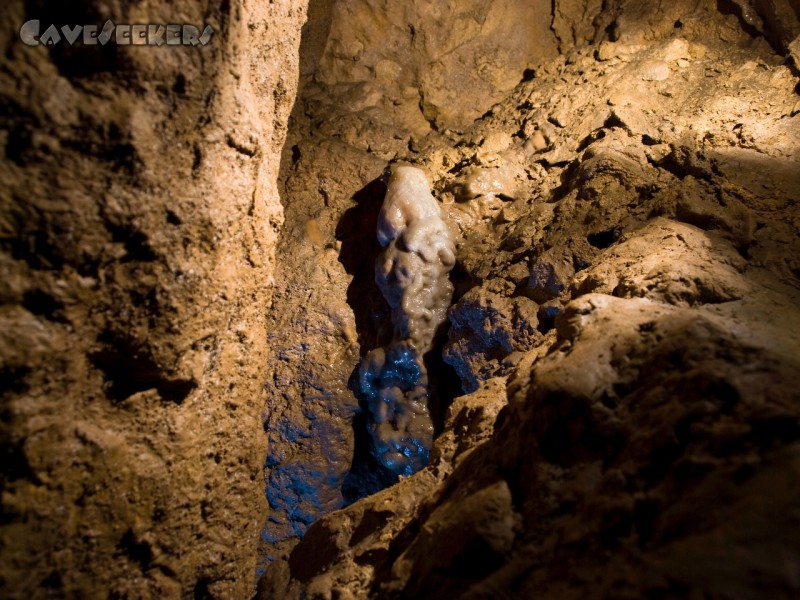 Sternponor: Phänomenal für diese Höhle