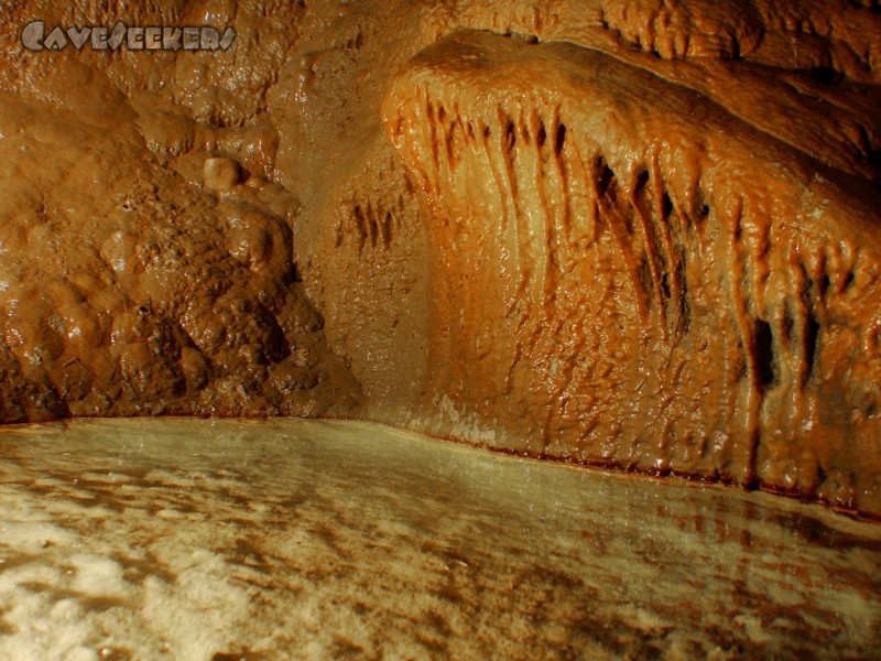 Teufelshöhle Pottenstein: Fantastisches Sinterbecken.