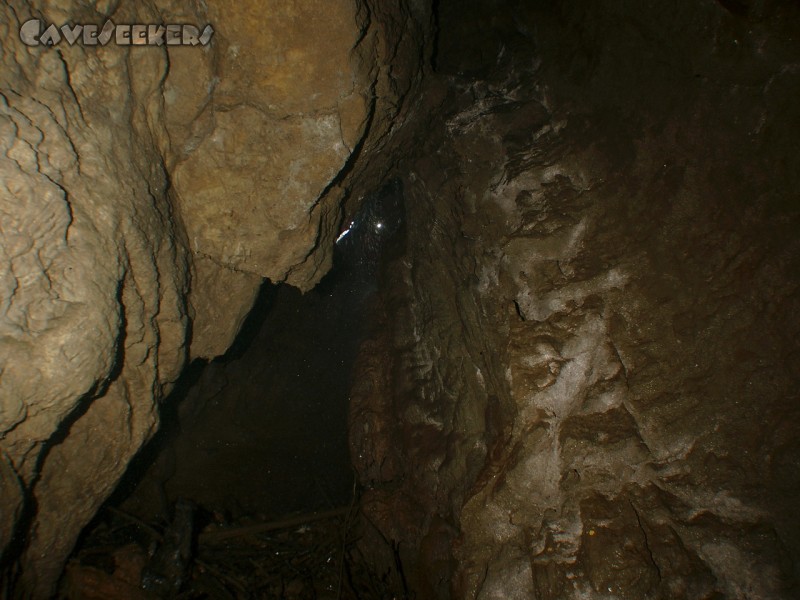 Teufelsloch: Blick von Unten nach oben. Wer die Augen zusammen kneift erkennt die Helmlampe des Herrn Härtl.
