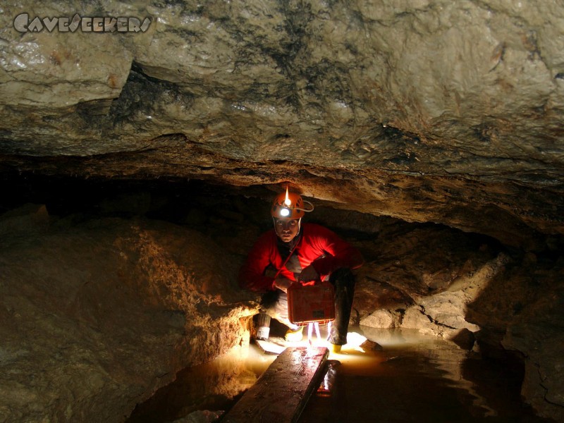 Todsburger Höhle: Karbidkaspar: Höhlenschonend die Decke wärmend. Am Boden: Brackwasser.