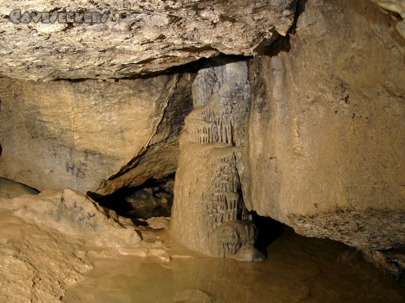 Todsburger Höhle: Todsburger Haupttropfstein.