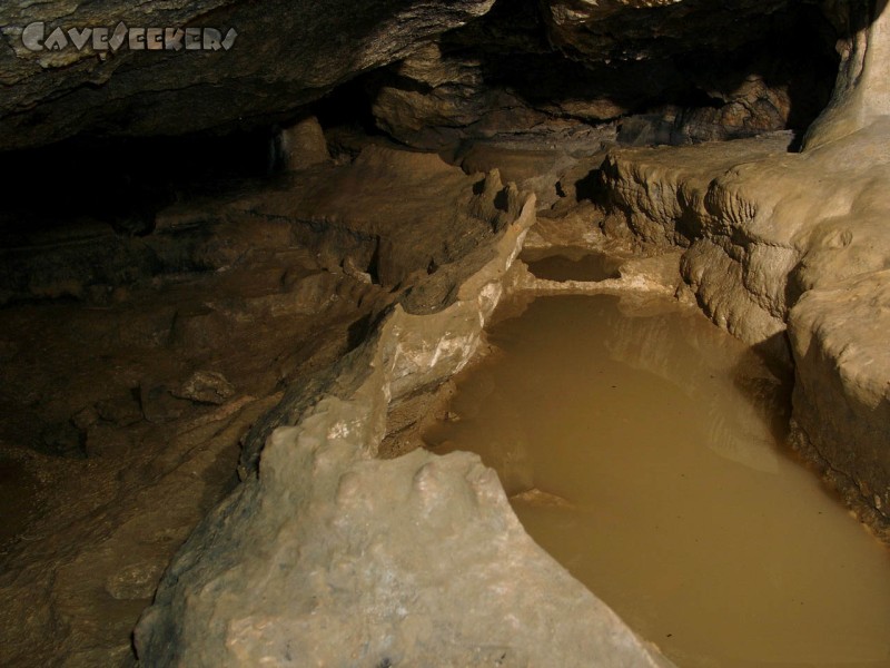Todsburger Höhle: Rießige Sinterbecken. Leider total im Arsch.