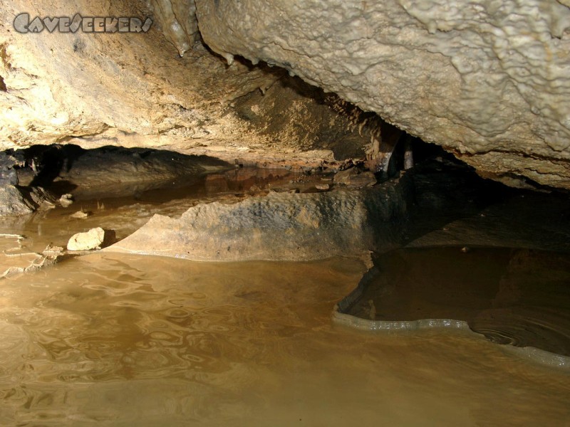 Todsburger Höhle: Zerstörte Sinterbecken: Ein kleines und ein rießiges.