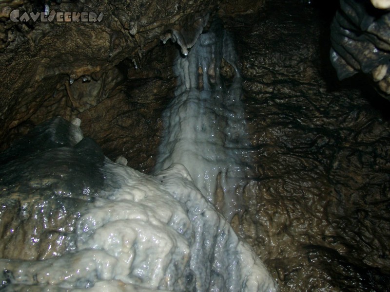 Todsburger Höhle: Frisches Wachstum am oberen Bereich des Haupttropfsteins.