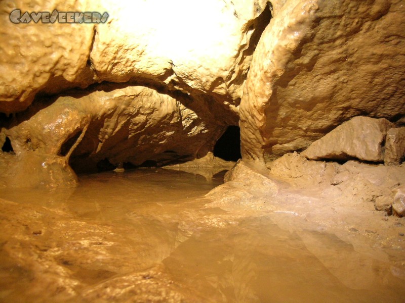 Todsburger Höhle: Der Schluf zu den 7 Metern. Gefüllt mit Wasser.