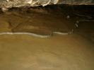 Todsburger Höhle - Warum auch dieses Sinterbecken nicht mehr dicht hält, ist auf dem übernächsten Bild zu erkennen.
