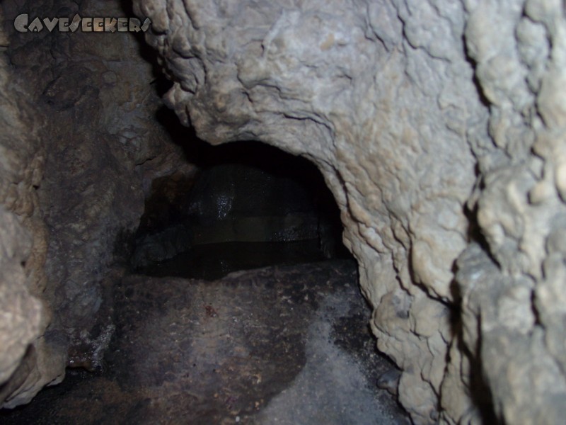 Voithhöhle: Kleines Sinterbecken.