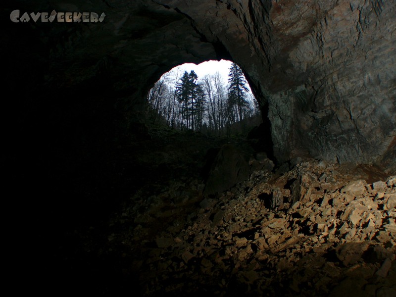 Vranja Jama: Das rießige Eingangsportal. Milliarden mal fotografiert. Hier zur Abwechslung mal künstlerisch wertvoll von innen.