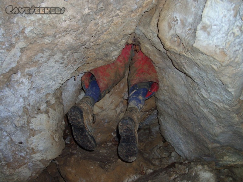 Warm Kalt Höhle: Höhlengeher, hängend.