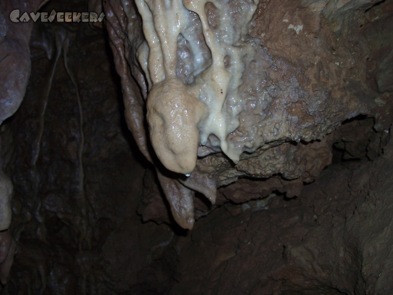 Warm Kalt Höhle: Es finden sich hin- und wieder diverse Versinterungen, die jedoch nicht wirklich überzeugen können.