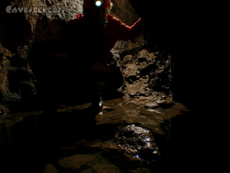 Wassergrotte: Wer zu erkennen: Andrich im spärlichen Wasser der Wassergrotte.