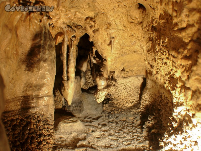 Wassergrotte: Völlig intaktes Sinterbecken mit krassem Krüppelwachstum. Leider fehlt das Wasser.