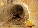 Weißenburger Sommerkeller - Ein weiterer Belüftungsstollen Weißenburger Sommerkeller - Ein weiterer Belüftungsstollen