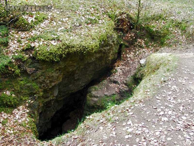 Windloch Alfeld: JJ1 wurde nicht gefunden, dafür das Loch