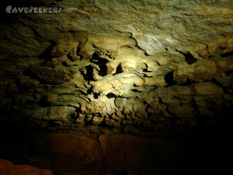 Windloch Alfeld: Elefantenversteck in der Decke, sichtbar die Füsse