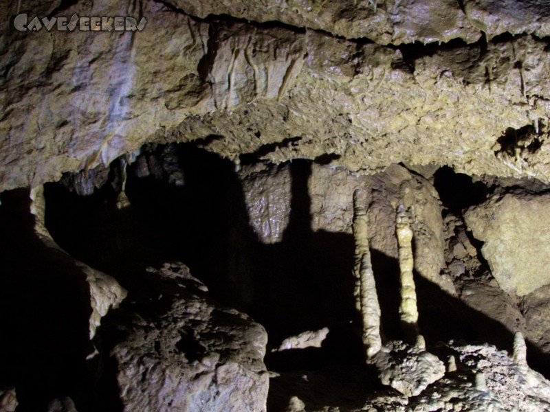 Windloch H.: Drei Stalagmiten