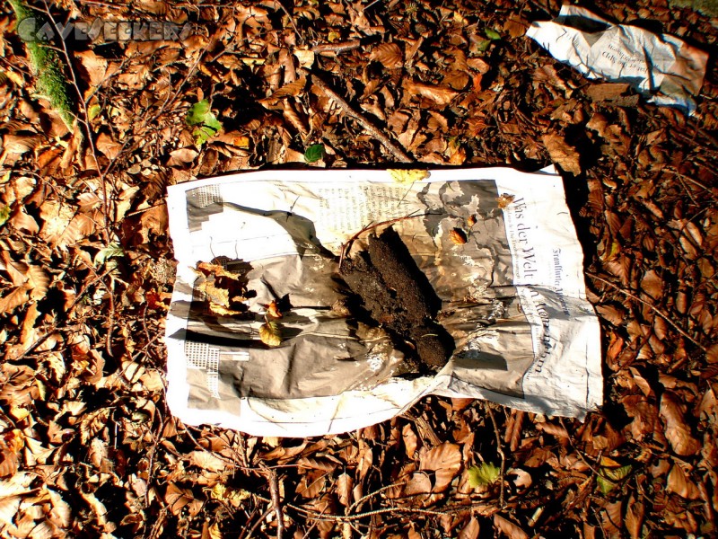 Windloch Markstetten: Alter, aber dennoch respektabler Schiss direkt am Eingang.