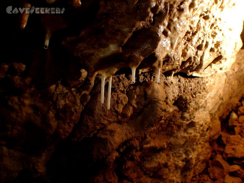 Windloch Markstetten: Schöne Maccaronis.