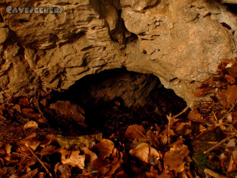 Windloch Markstetten: Blick in den Schluf. Vom Einsturztrichter aus.