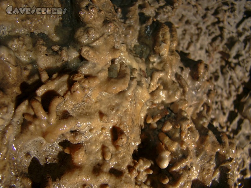 Wundershöhle: Krasse Franken-Excentrics in der Wundershöhle.