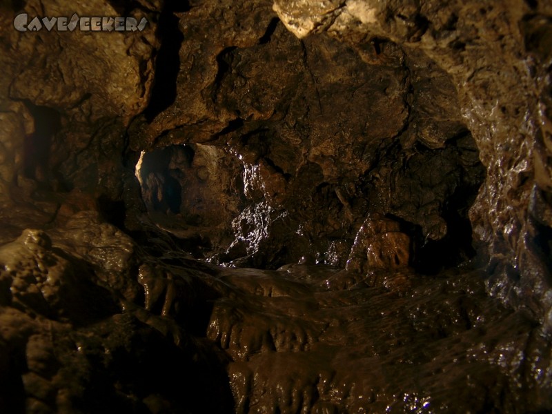 Wundershöhle: Ultrakonkretes in der Wundershöhle. Massiv bestäubt.