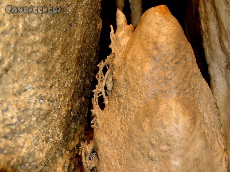 X-Akten Höhle: Krass versintert.