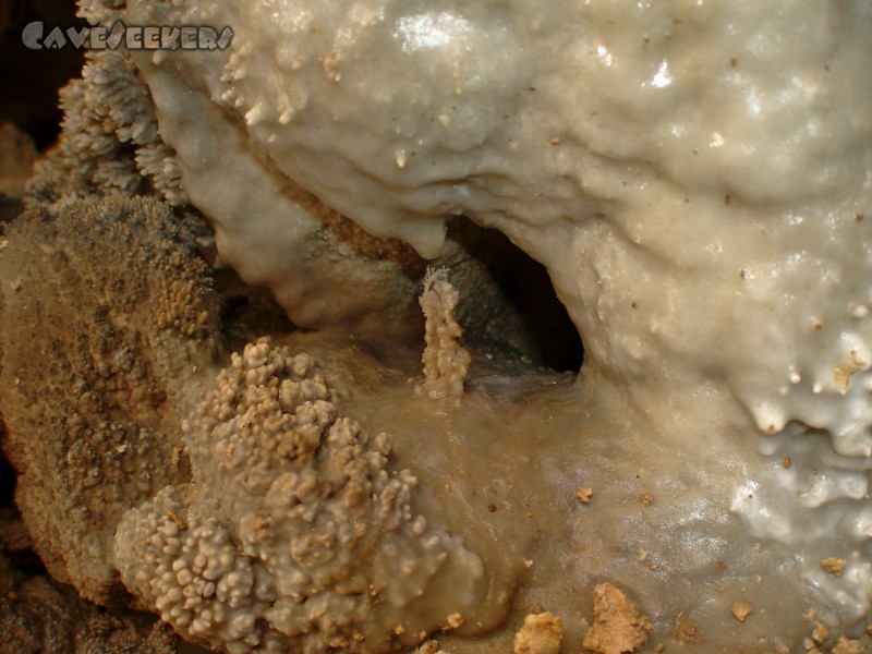 Zelske Jama: Nur selten mag der Blick an filigranen Strukturen hangenbleiben.