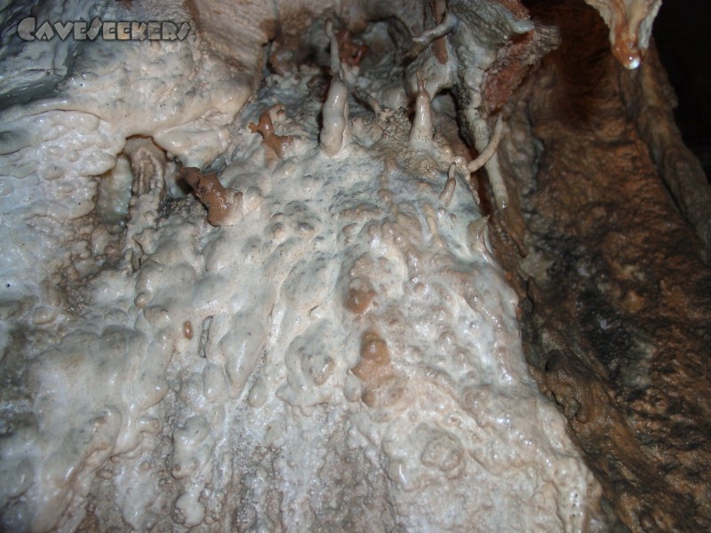 Zoolithenhöhle: Exzentrische Versinterungen. Noch immer glauben wir fest an Anomalien im Erdgravitationsfeld.