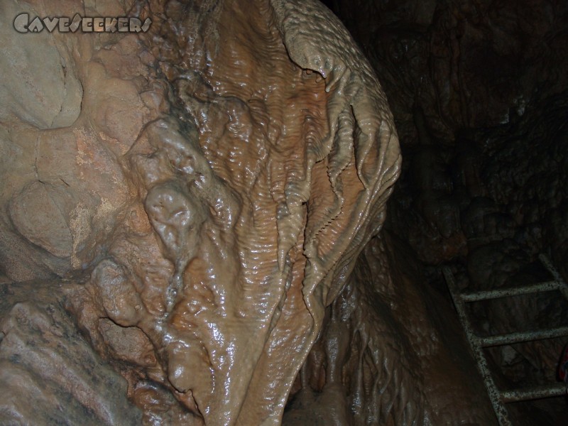 Zoolithenhöhle: Haifischzahnsinter mit Leiter.