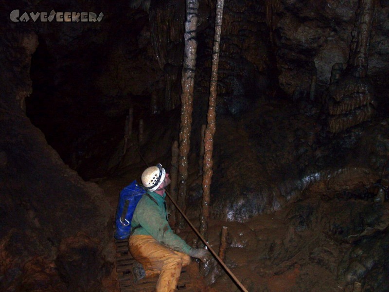 Zoolithenhöhle: Extrem hohe und sehr dünne Tropfsteine.