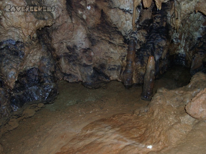 Zoolithenhöhle: Sinterbecken. Das Wasser ist nicht zu erkennen, es war aber da.